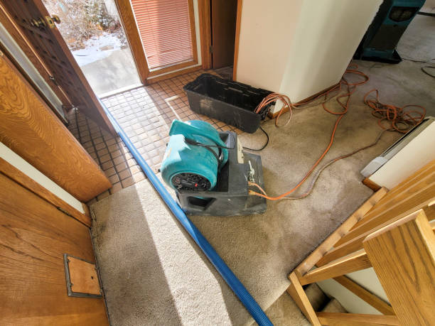 Best Sewage cleanup and water damage restoration  in England, AR